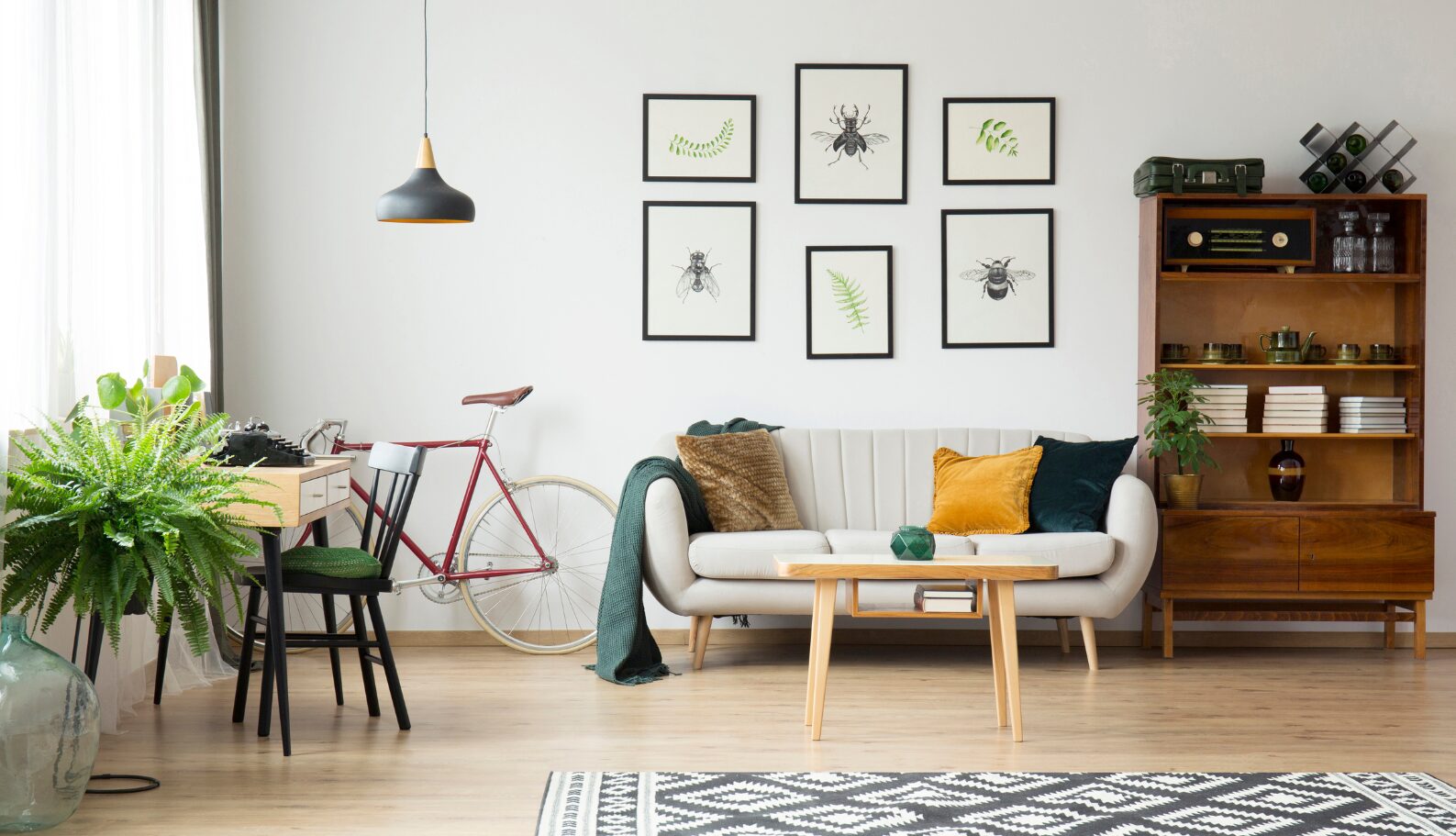 Sklep z dekoracjami do salonu